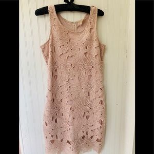 Blush Lace Flower Sleeveless Dress